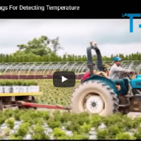 Temperatura RFID activadas Tags para la detección de temperatura