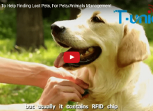 Pet RFID теги, чтобы найти потерянных животных