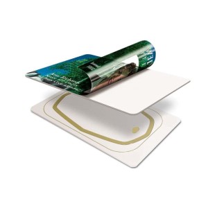 Smart card in PVC MF DESFire EV1 4K da 13,56 mh per il trasporto