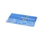 Carte d’impression Standard PVC Felica-Lite-S(224B) -Cartes RFID HF