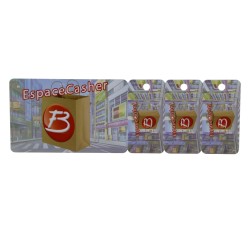 Aangepaste Plastic Combo Card, 3 Key Tags